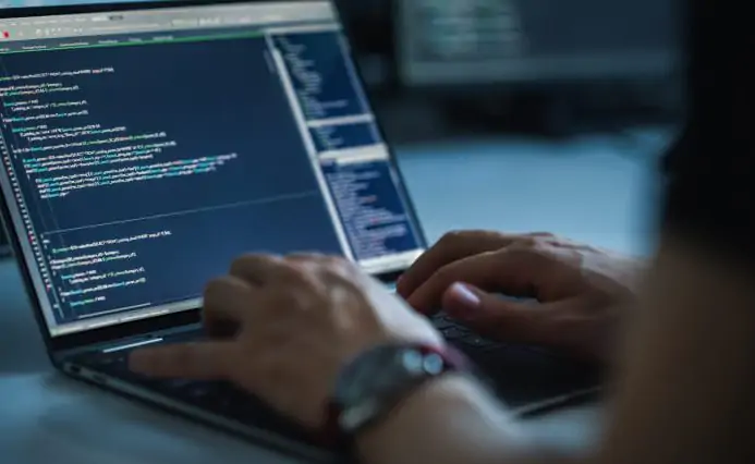 Coding & Development Coding & Development